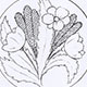 Corn and poppy carving Corn and poppy carving