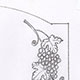 Drawing for lilies and grapes design Drawing for lilies and grapes design