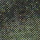 Polished Tropical Green granite Polished Tropical Green granite