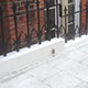 Wall restoration Wall restoration